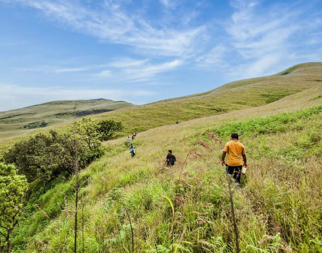 Netravati Trek, Chikmagalur Image