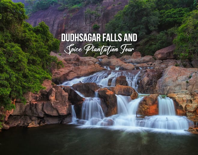 Dudhsagar Falls and Spice Plantation Tour Image