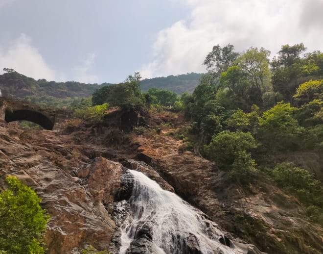 Dudhsagar Falls and Spice Plantation Tour Image