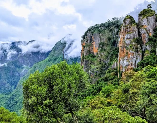 Guided Trek To Pillar Rocks Kodaikanal Image