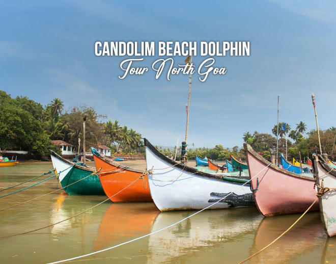 Candolim Beach Dolphin Tour North Goa Image