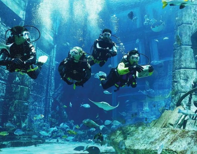 Scuba Diving in Dubai Image