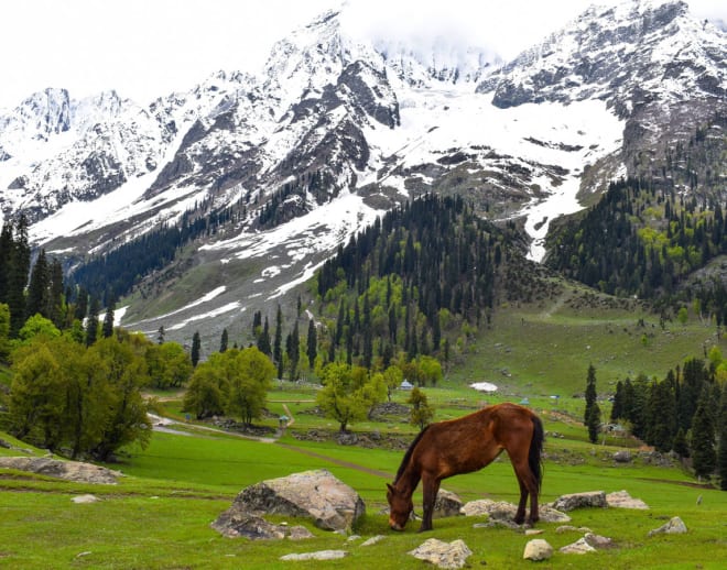 Kashmir Backpacking Tour Image