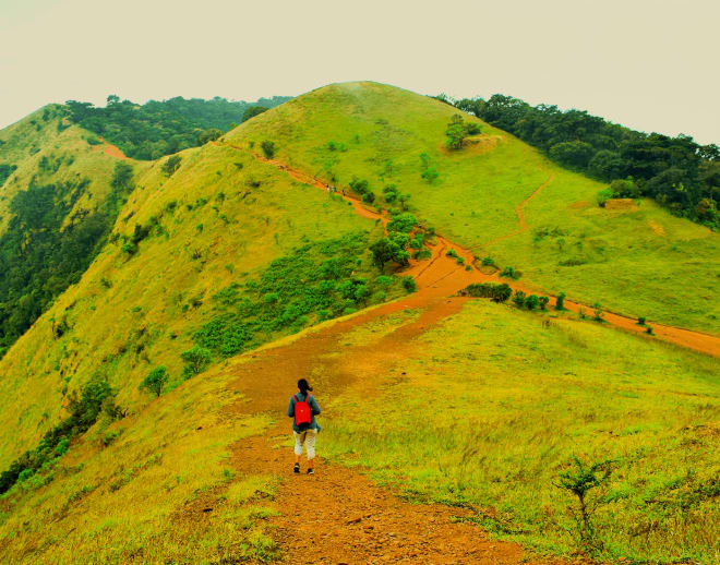 Kodachadri Trek from Kollur Image