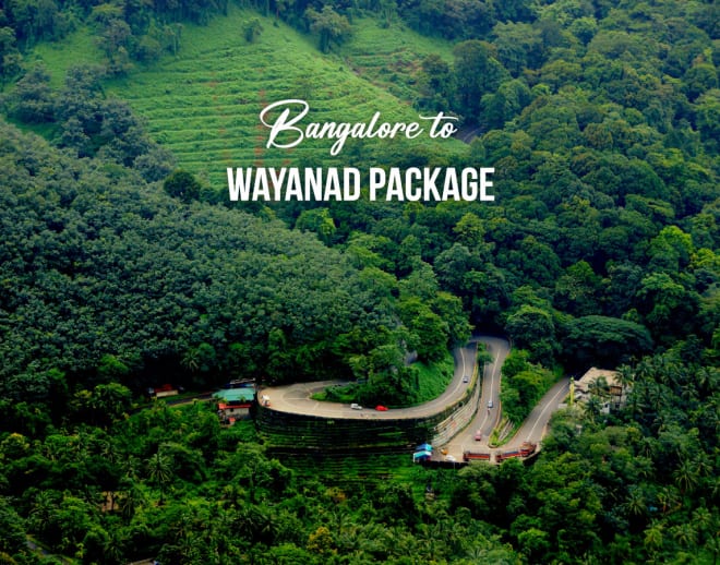 Bangalore to Wayanad Package Image