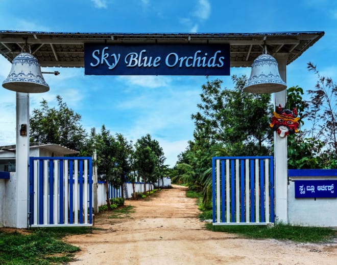 Sky Blue Orchids Resort Image