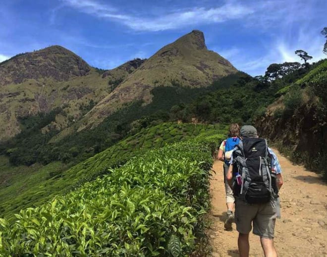 Kolukkumalai Munnar Tour Image