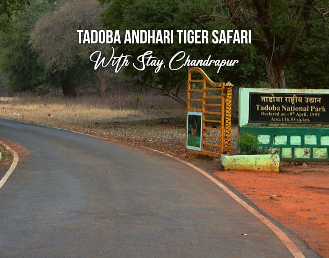 Tadoba Andhari Tiger Safari With Stay, Chandrapur Image