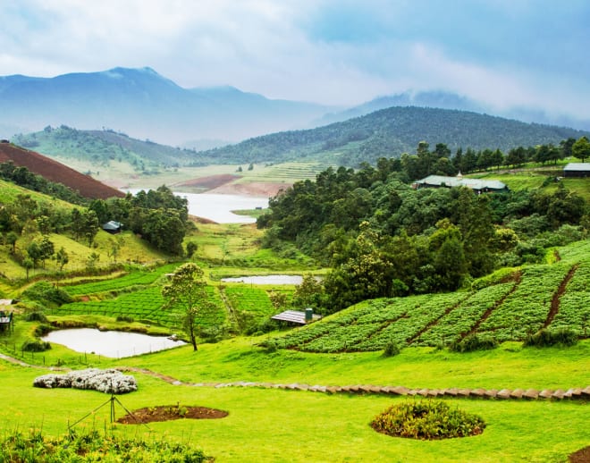 Bangalore Mysore Ooty Kodaikanal Tour Package Image