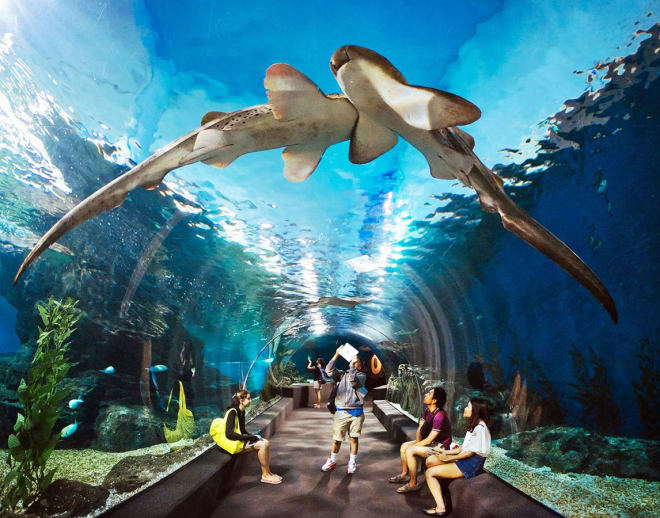 Underwater World Pattaya Image