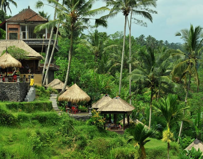 Ubud And Kintamani Tour Image