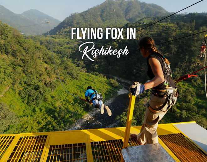 Flying Fox in Rishikesh Image