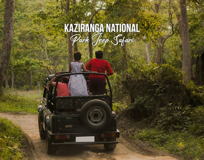 Kaziranga National Park Jeep Safari Image