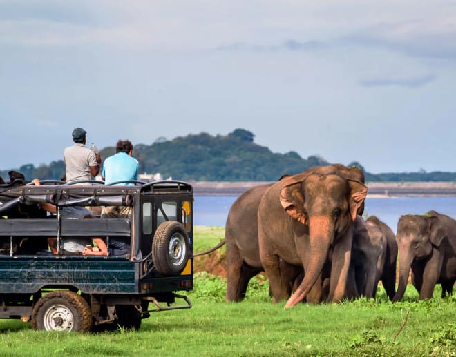 Kaziranga National Park Jeep Safari Image