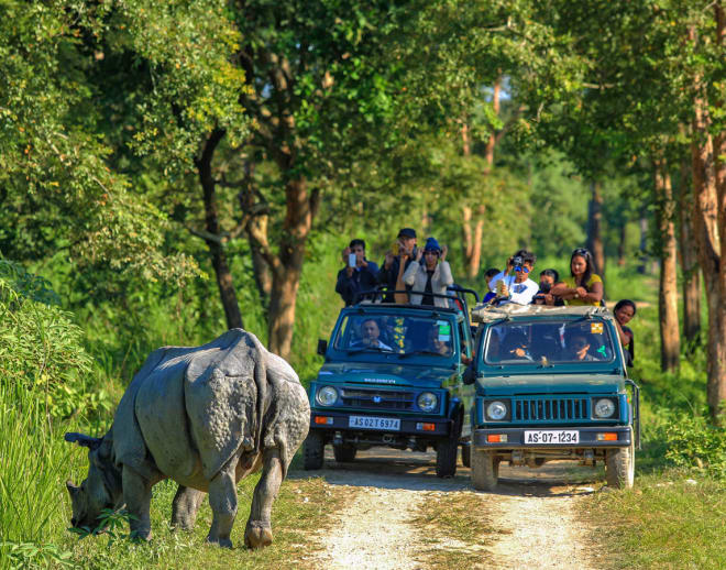 Kaziranga National Park Jeep Safari Image