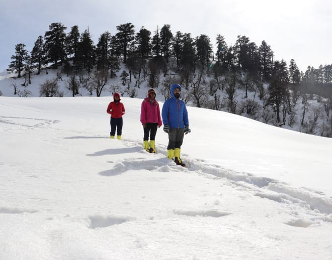 Dayara Bugyal Trek Image