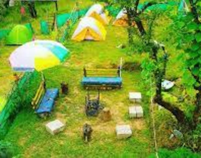 Dharamshala Jungle Camping Image