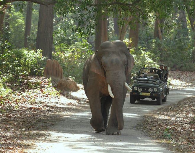 Jim Corbett Jeep Safari Ramnagar Image