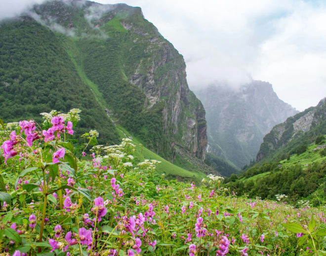 Valley of Flowers National Park Trek Image