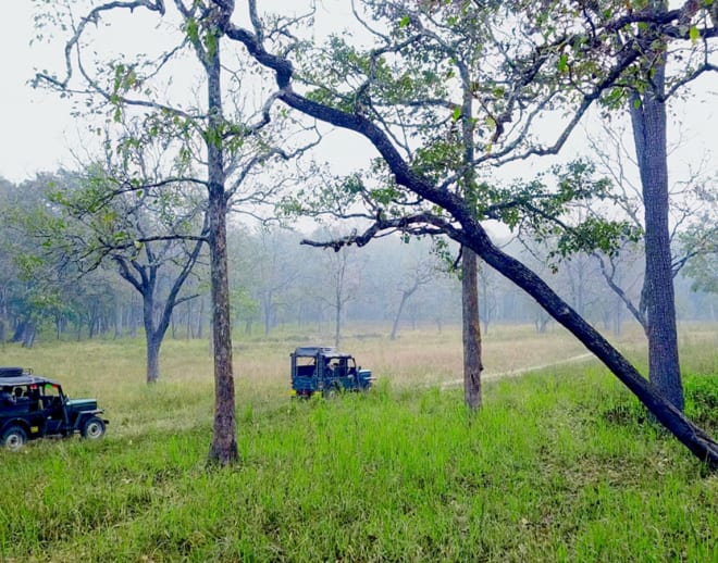 Tholpetty Wildlife Sanctuary Jeep Safari Image