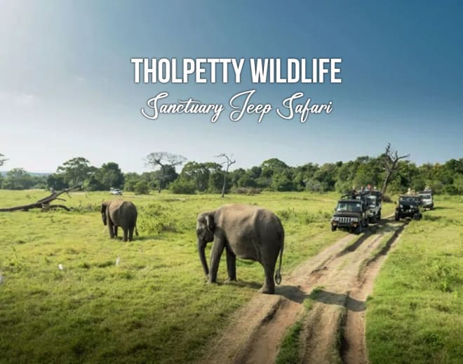 Tholpetty Wildlife Sanctuary Jeep Safari Image