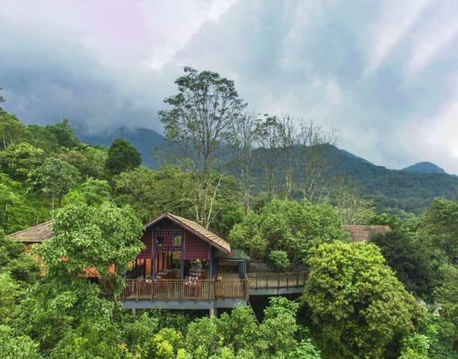 Wayanad Tree House Stay Booking Kerala Image