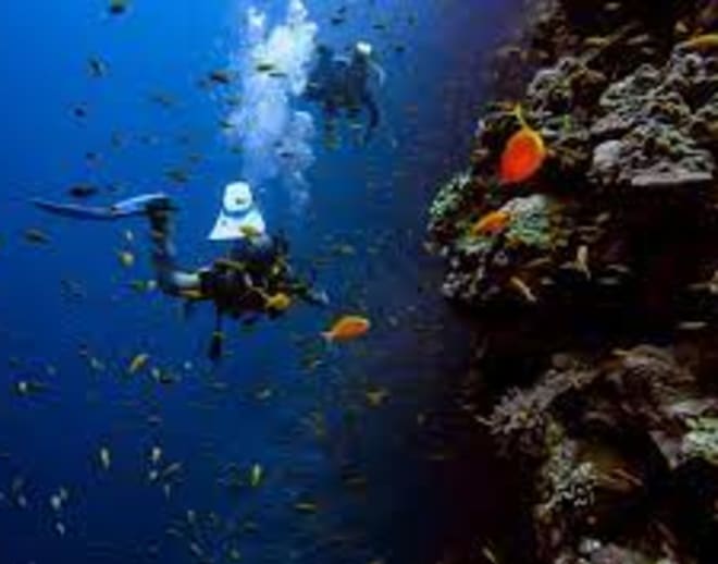 Gokarna Scuba Diving in Murudeshwar Image