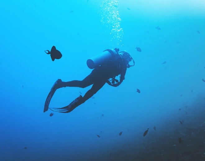 Gokarna Scuba Diving in Murudeshwar Image