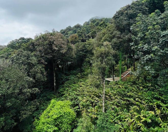 Glass Bridge In Wayanad Image