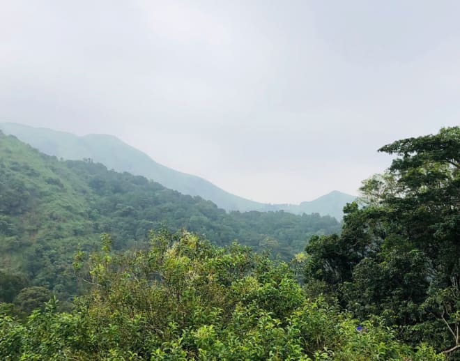 Glass Bridge In Wayanad Image