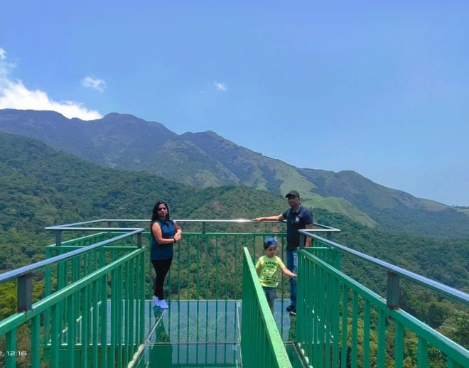 Glass Bridge In Wayanad Image