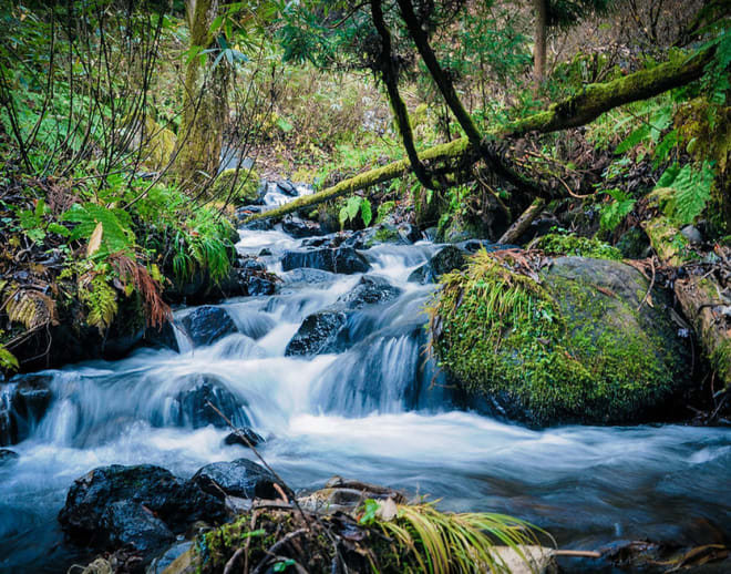 Trek To Chinchoti Waterfall, Vasai, Maharashtra Image