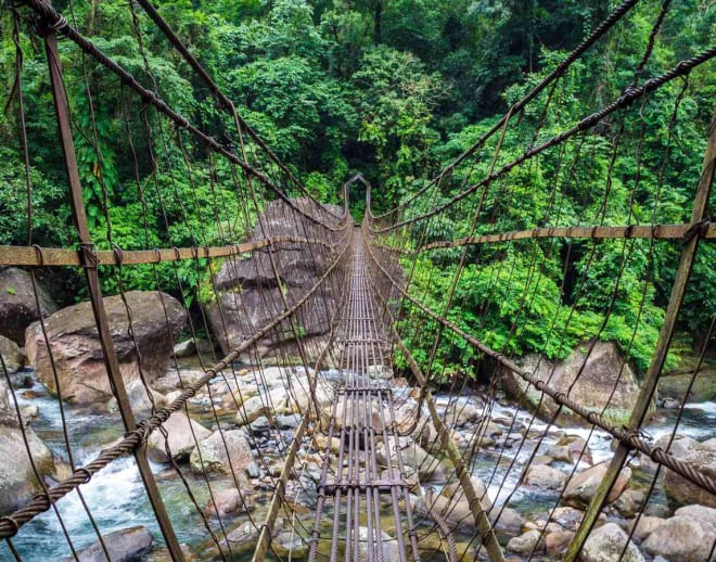 Nongriat Trek- A Living Root Bridge Trek in Meghalaya Image