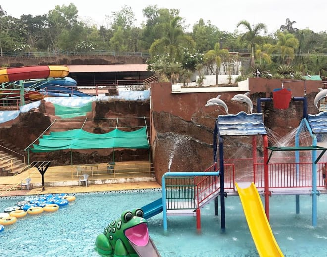 Froggyland goa Image