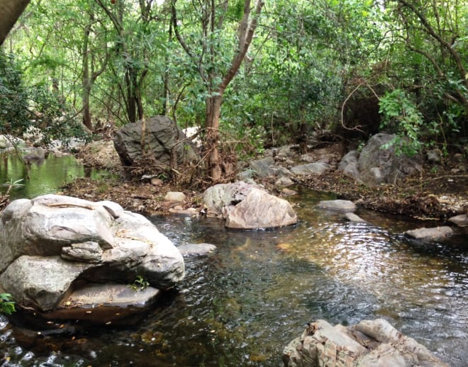 Nagalapuram Waterfall Trek and Camping Image