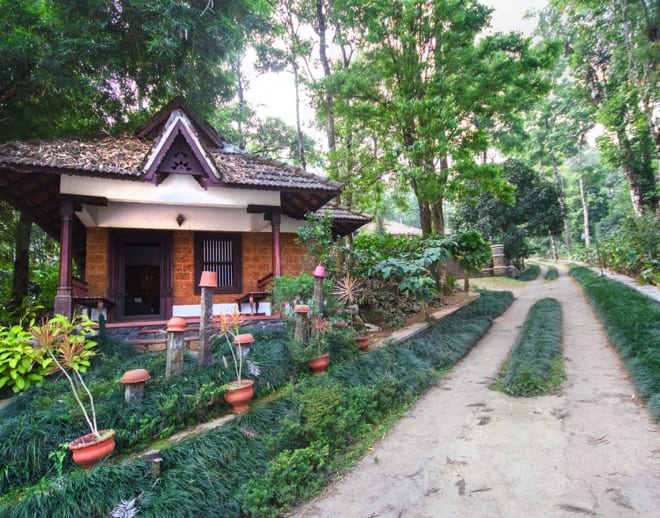 Misty Woods Resort Coorg Image