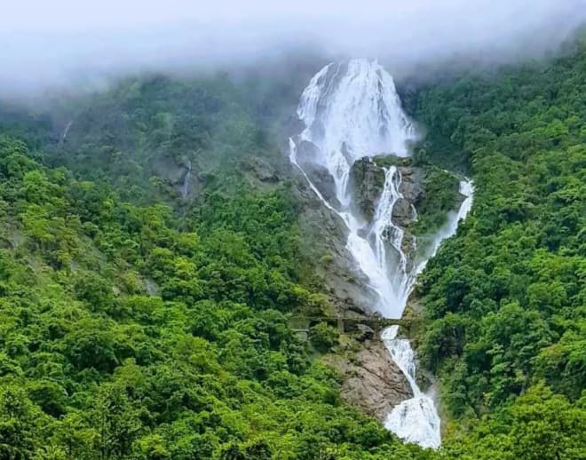 Trek to Dudhsagar Falls from Goa Image