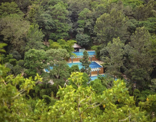 The Ibnii Coorg Image