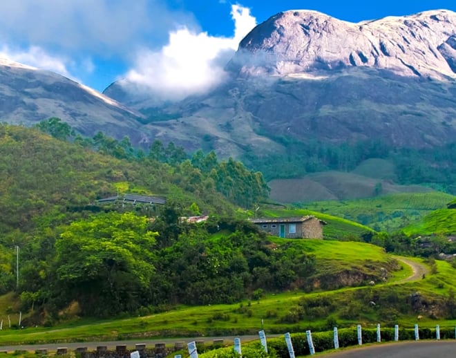 Half Day trekking, Munnar Image