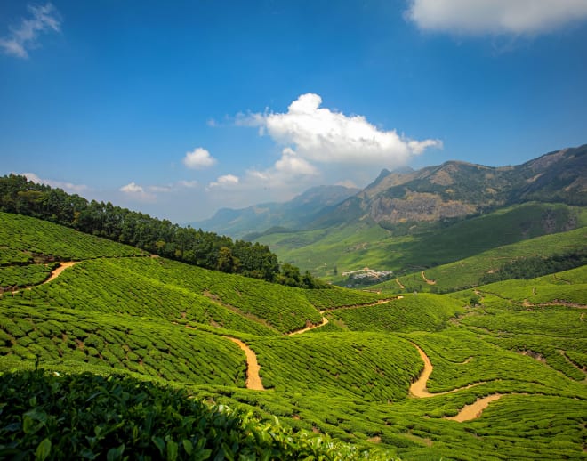 Suryanelli Munnar Image