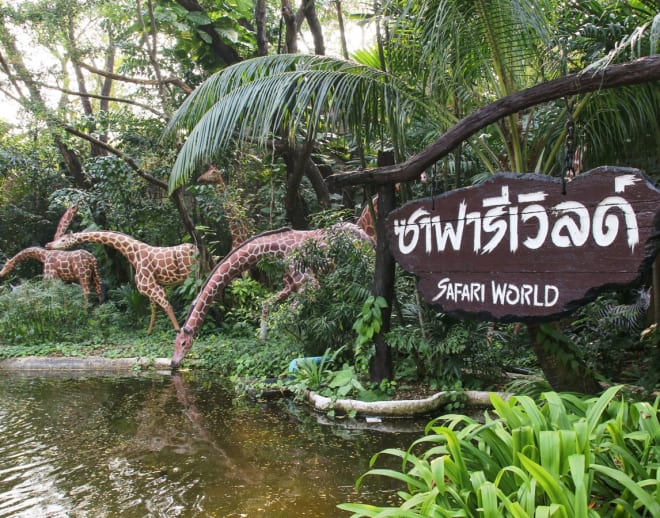 Safari World Bangkok Tickets Image