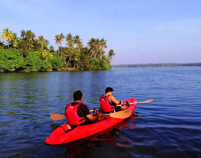 Mangrove Kayaking in Varkala Image