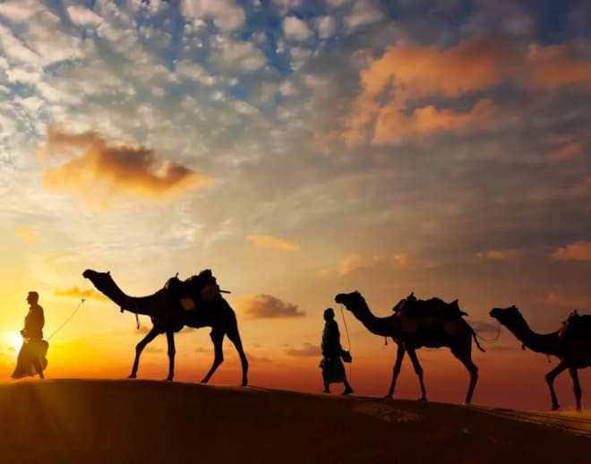 Desert Safari and Camel Safari in Jodhpur Combo Package Image