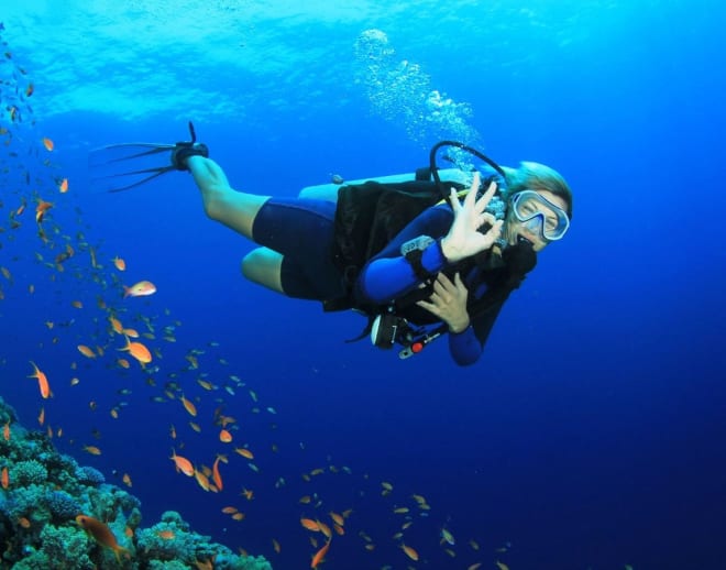 Scuba Diving in Malvan Image