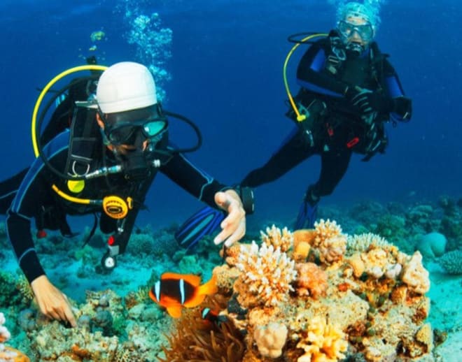 Scuba Diving in Malvan Image