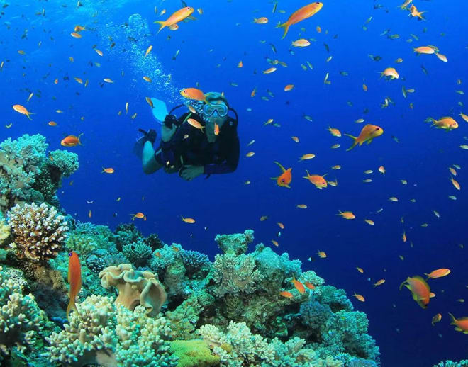 Scuba Diving in Malvan Image