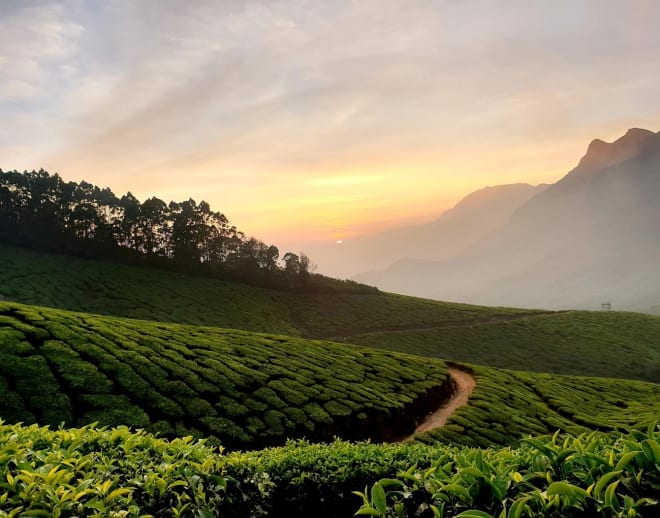 Zipline in Munnar Image