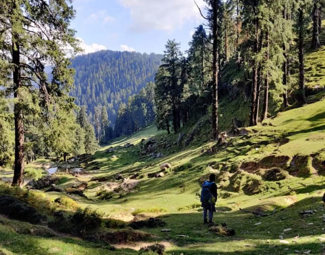 Deoban Trek 2024 (Chakrata) Image