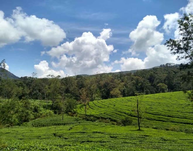 Vagamon Day Tour Image