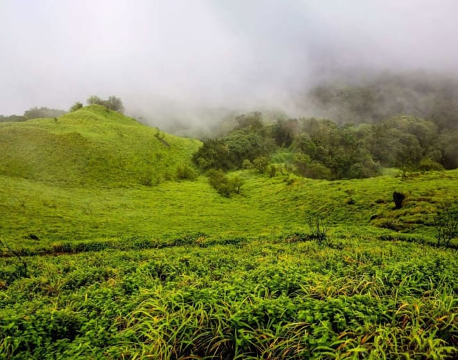 Nishani Betta Trek Image